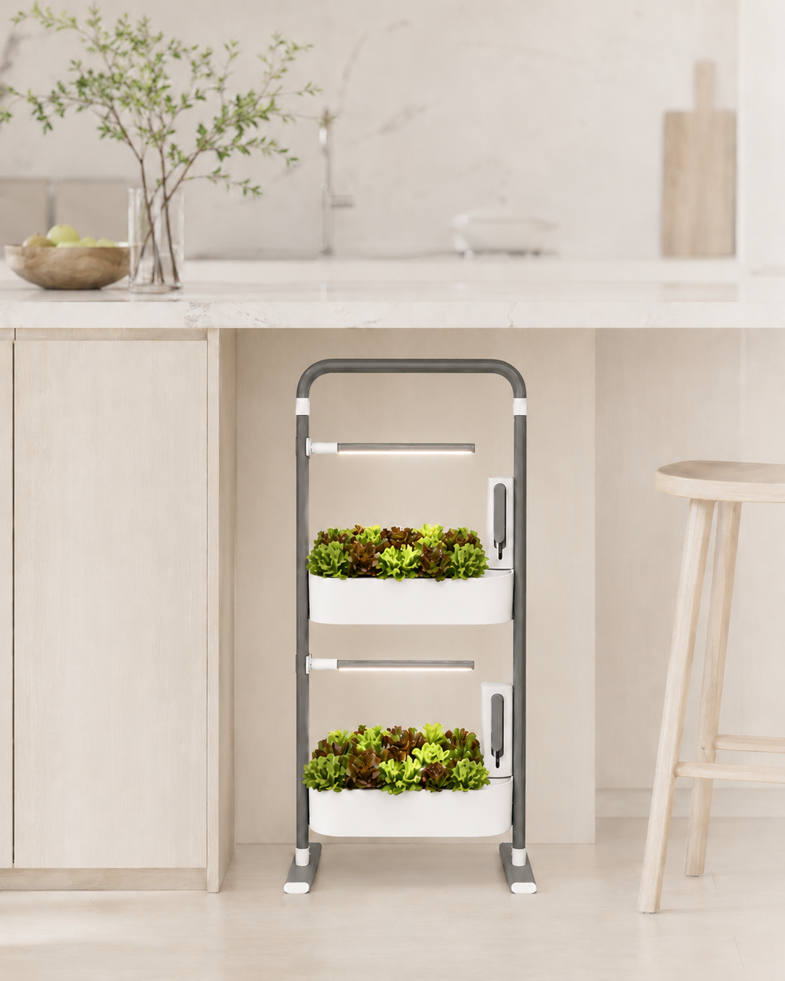 Savi Two with both grow lights illuminated above red and green butterleaf lettuce beneath a kitchen island